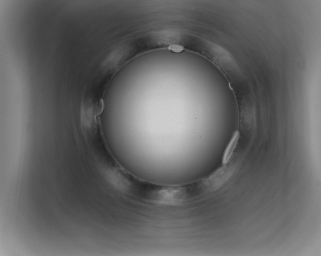 X0000111390172200907101154