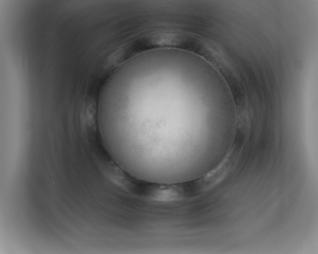 X0000111390175200907101154