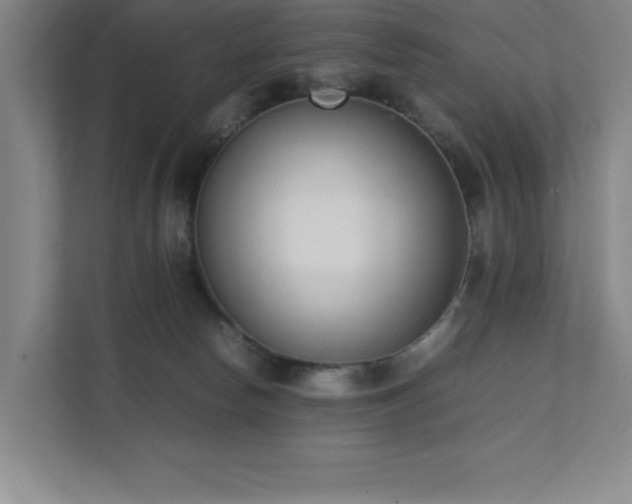 X0000111390178200907101154