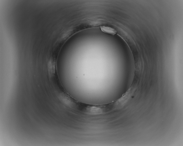 X0000111390180200907101154