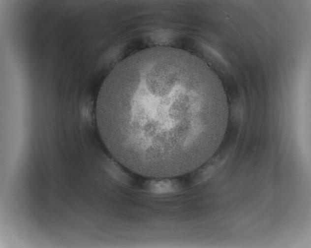 X0000111390181200907101154