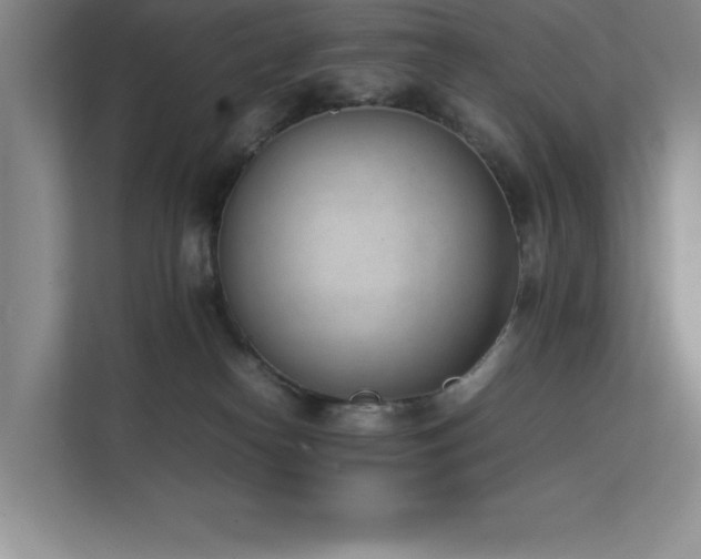 X0000111390182200907101154