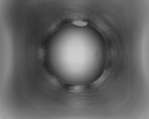 X0000111390184200907101154