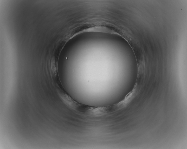 X0000111390186200907101154