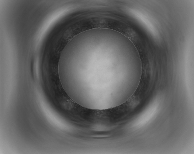 X0000111390189200907101154