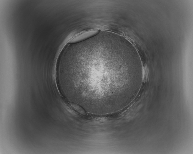 X0000111390195200907101153