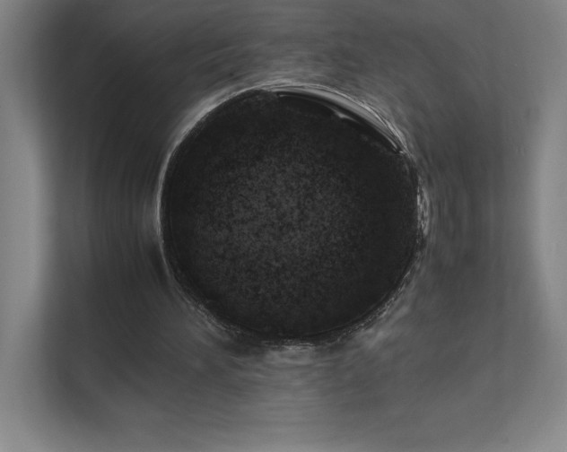 X0000111390196200907101153