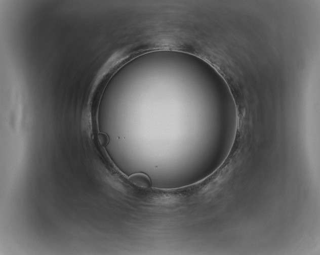 X0000111390198200907101153