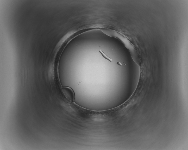 X0000111390200200907101153