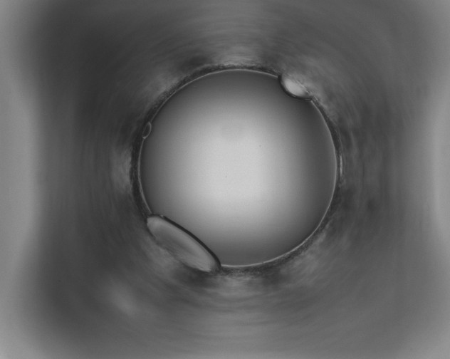 X0000111390201200907101153