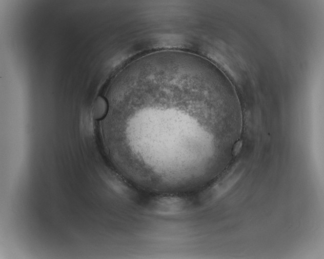 X0000111390203200907101153