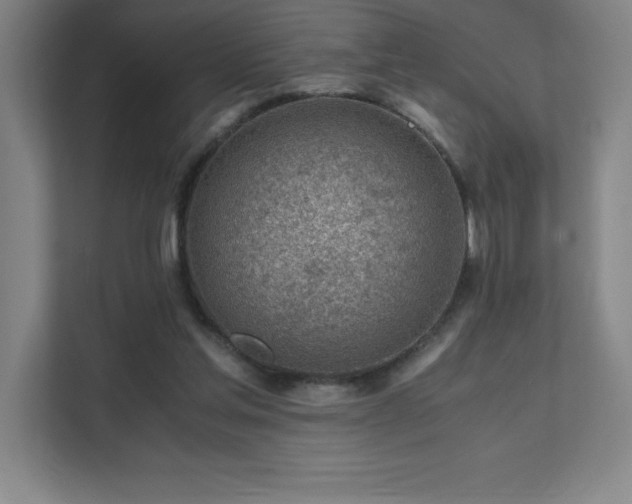 X0000111390205200907101153