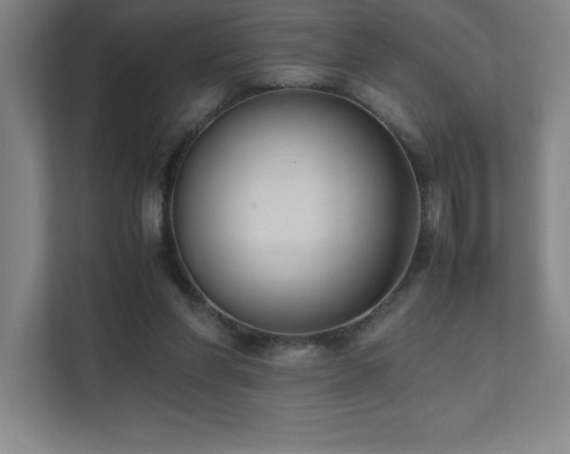 X0000111390206200907101153