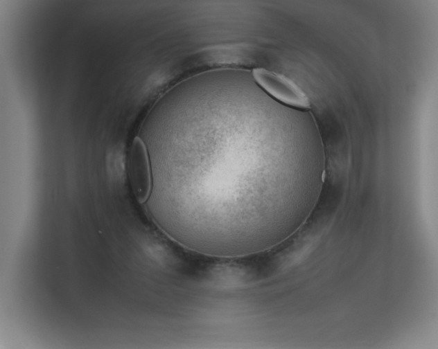 X0000111390207200907101153