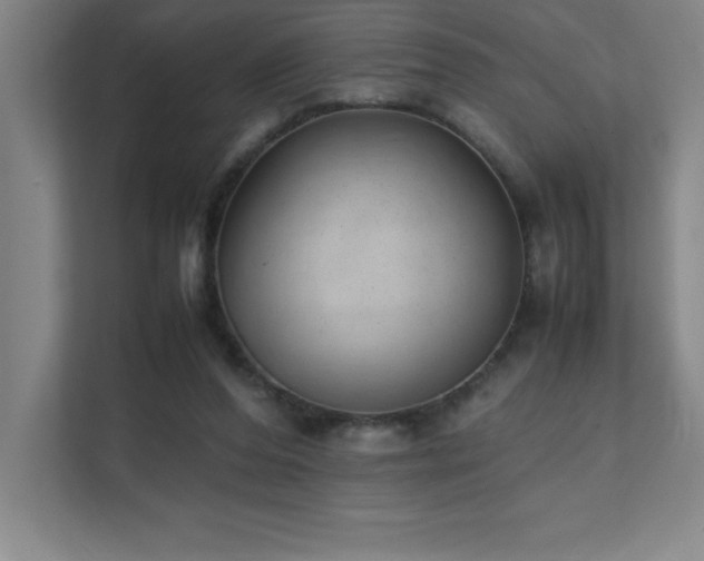 X0000111390208200907101153