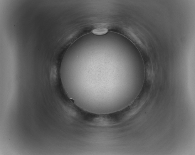 X0000111390211200907101153