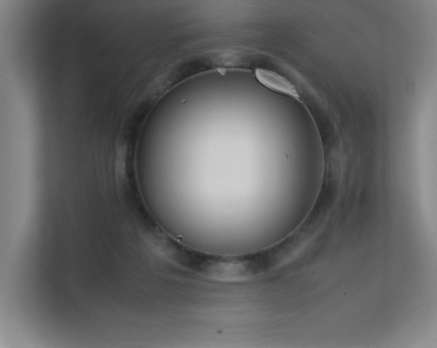 X0000111390217200907101153