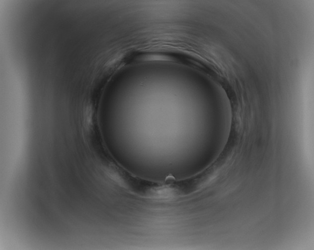 X0000111390219200907101153