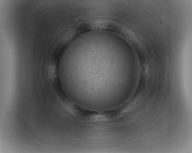 X0000111390224200907101153