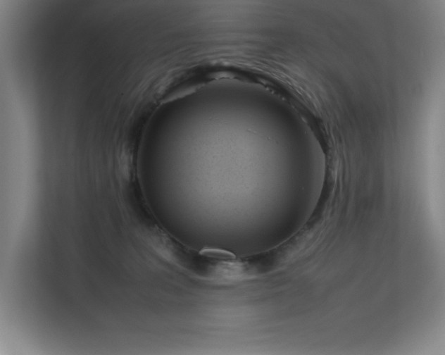 X0000111390227200907101153