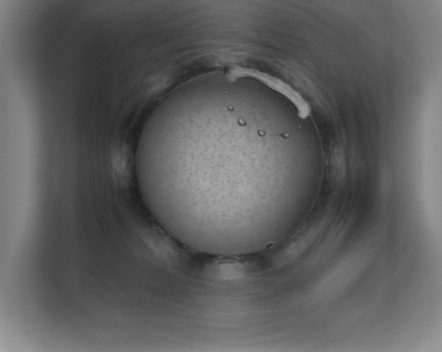 X0000111390228200907101153