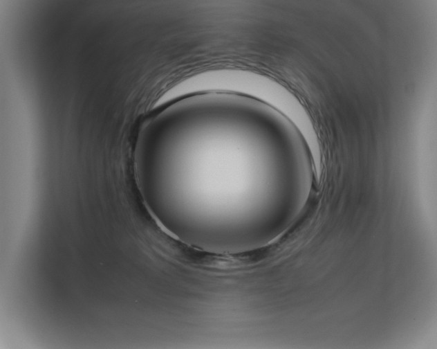 X0000111390229200907101153