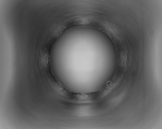 X0000111390230200907101153