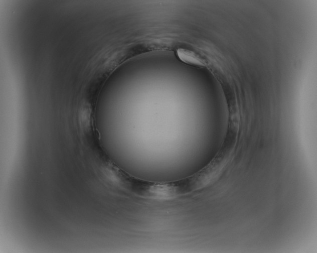 X0000111390231200907101153