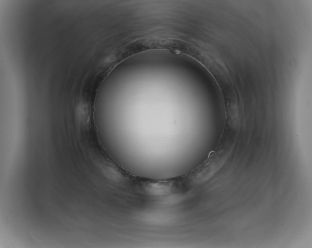 X0000111390232200907101153