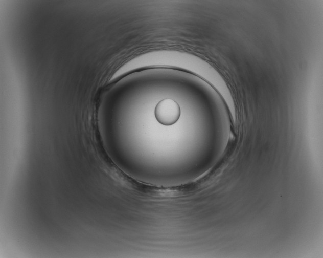 X0000111390233200907101153