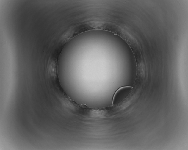 X0000111390234200907101153