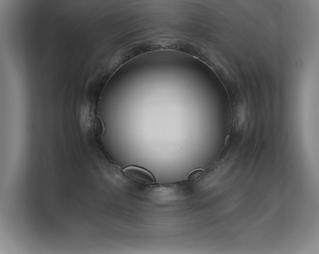 X0000111390236200907101153