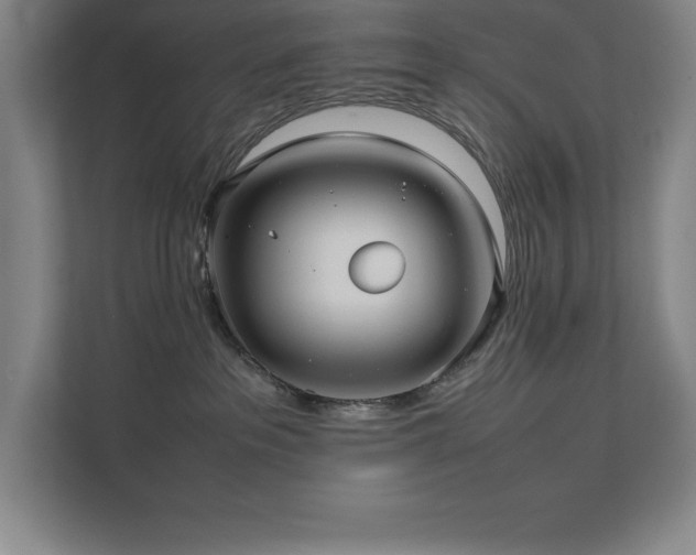 X0000111390237200907101153