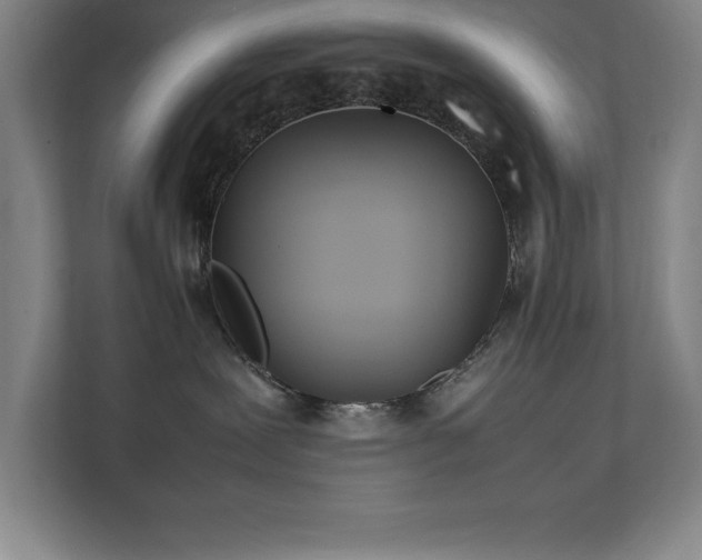 X0000111390239200907101153