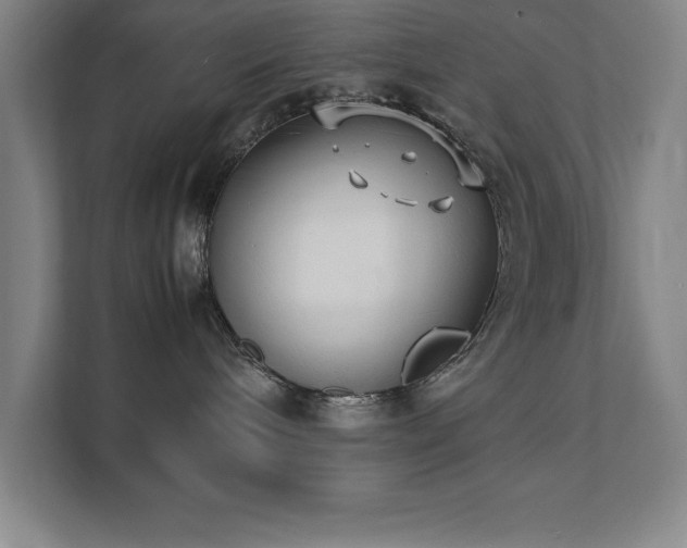 X0000111390240200907101153