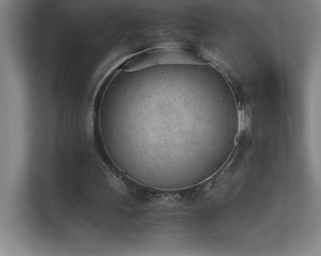 X0000111390243200907101152