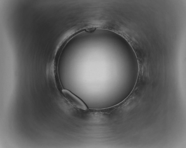 X0000111390244200907101152