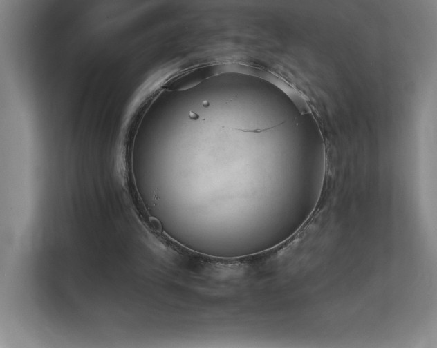 X0000111390245200907101152