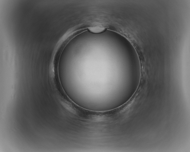 X0000111390246200907101152