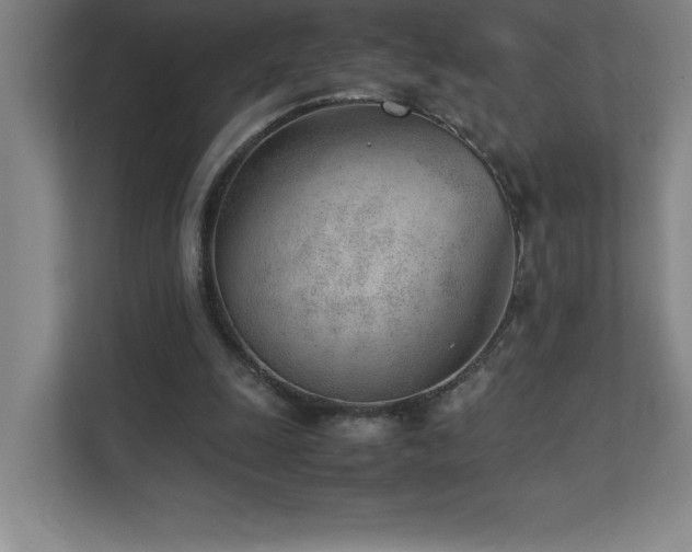 X0000111390247200907101152