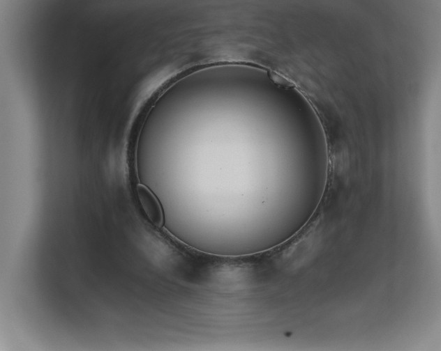 X0000111390248200907101152