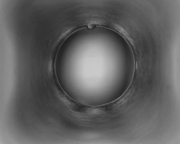 X0000111390249200907101152