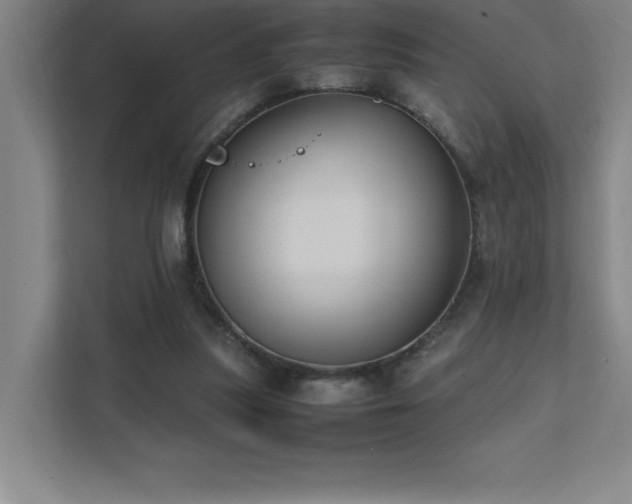 X0000111390251200907101152