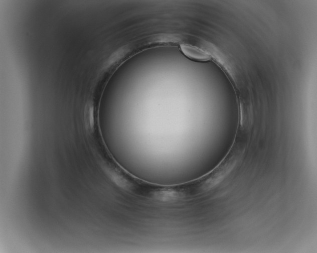 X0000111390253200907101152