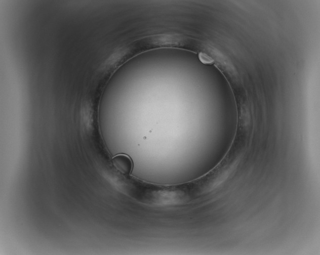 X0000111390255200907101152