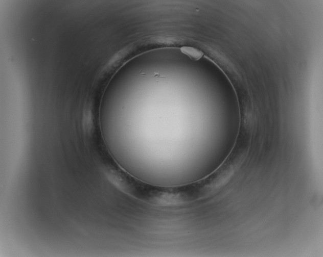 X0000111390256200907101152