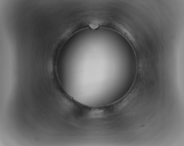 X0000111390257200907101152