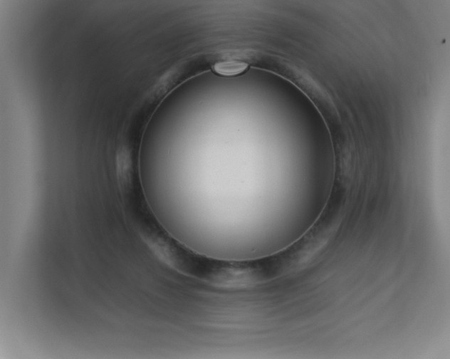 X0000111390260200907101152