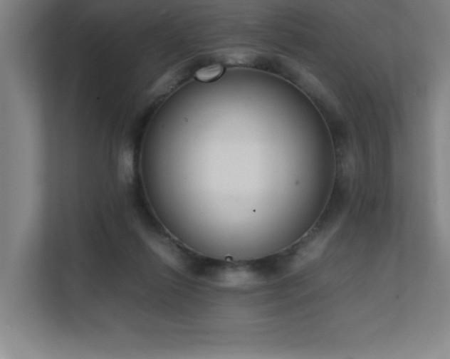 X0000111390262200907101152