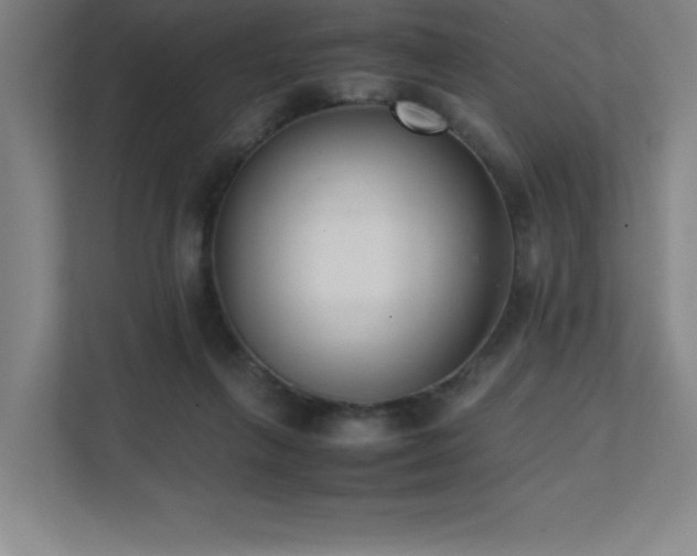 X0000111390263200907101152